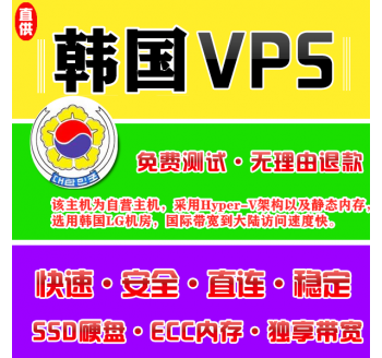 韩国VPS注册1024M推荐，常用的seo网站优化排名
